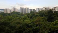 Blk 528 Jelapang Road (Bukit Panjang), HDB Executive #151989952